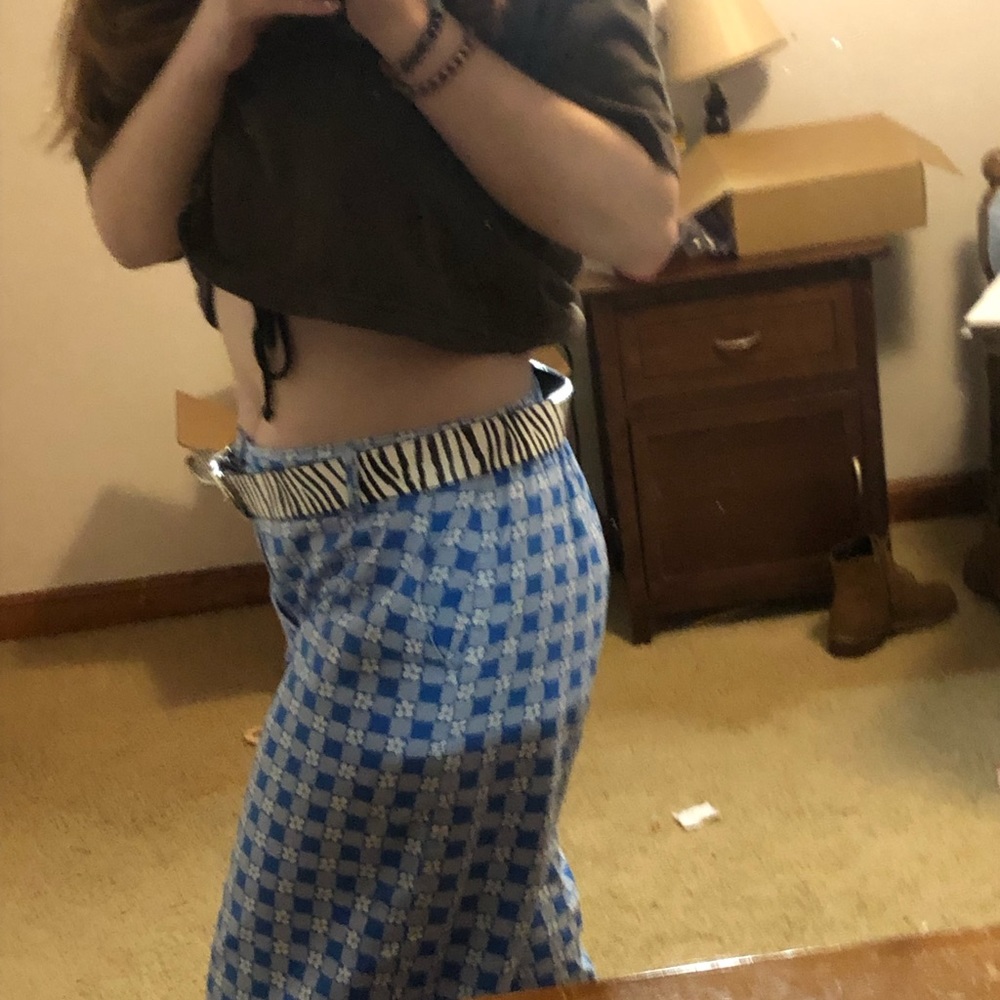 Zebra Belt